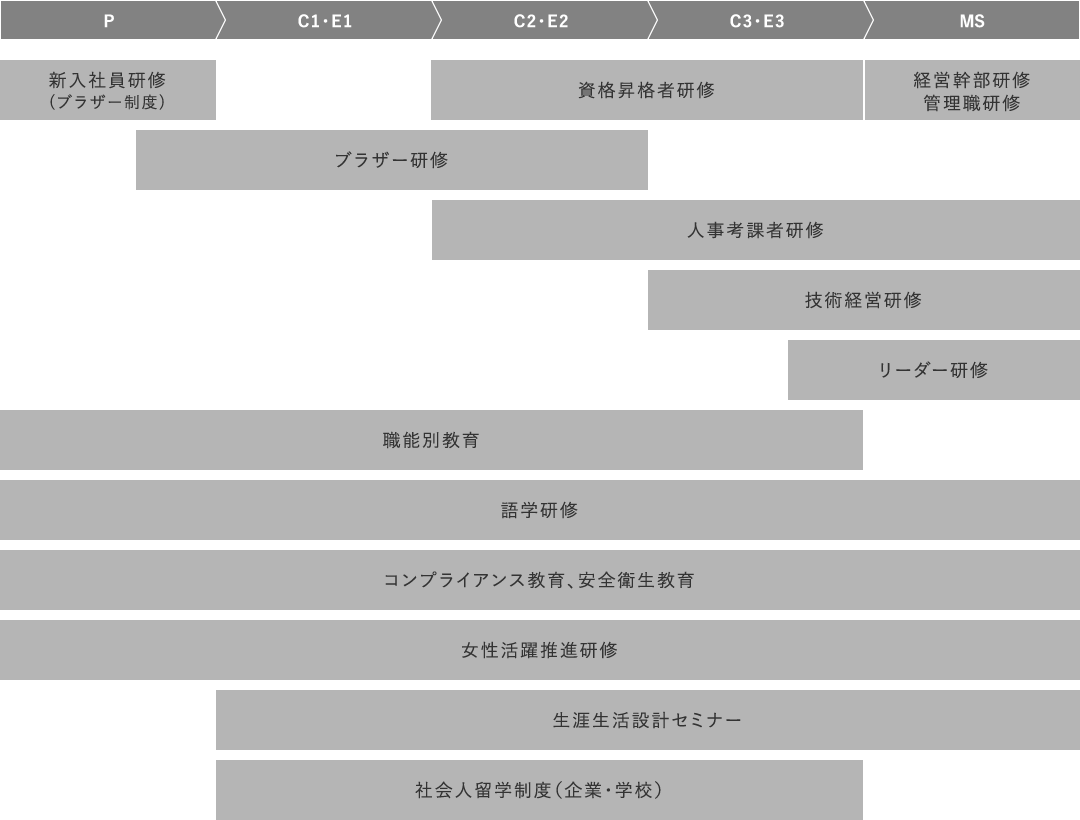 P C1・E1 C2・E2 C3・E3 MS1 MS2 MS3 MS4 新入社員研修 (ブラザー制度) 語学研修 中堅社員研修 (21・24・26歳) 選抜クリエーター研修 管理職研修 経営幹部候補者研修 社内技術技能研修 部門別職能研修 社会人留学制度(企業・学校) 技能検定・ビジネスキャリア制度 e-learning